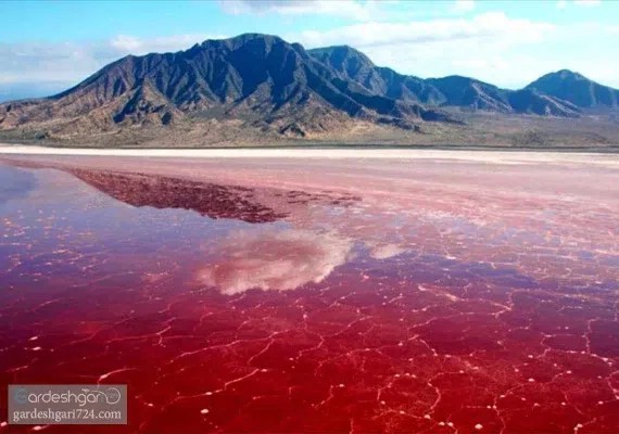 لیپار، دلربای صورتی ایران