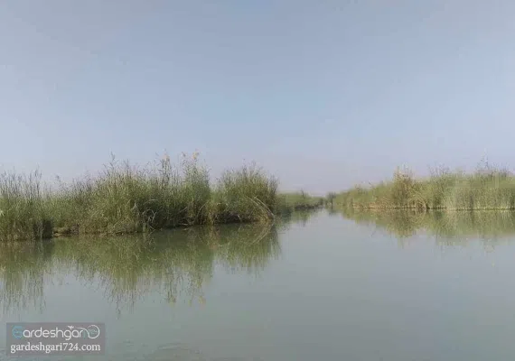 تالاب شادگان
