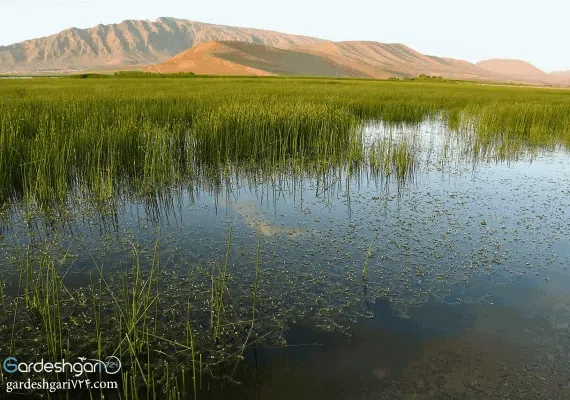 تالاب گندمان کجاست؟