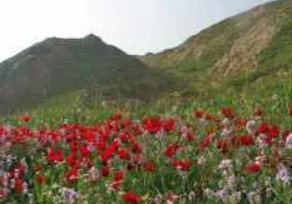 منطقه شکار ممنوع شو و لندر