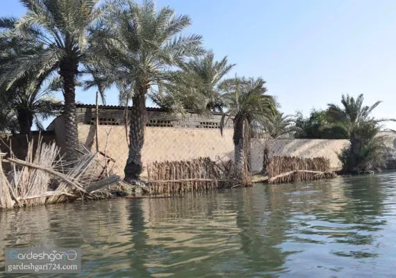 تالاب شادگان