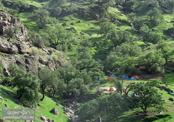 دشت سوسن ایذه