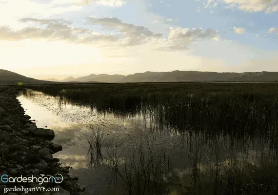 تالاب گندمان کجاست؟