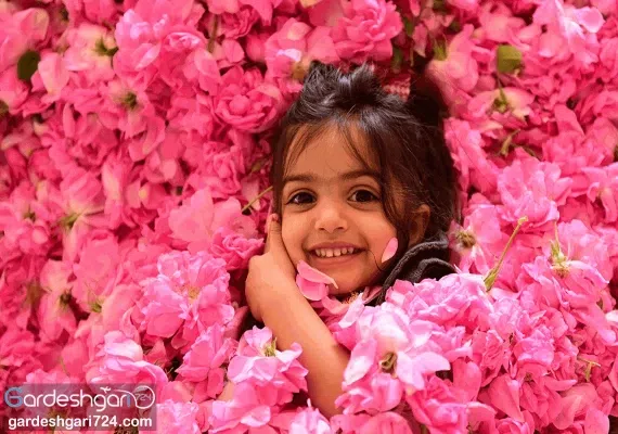 قمصر کاشان، پایتخت گلاب ایران