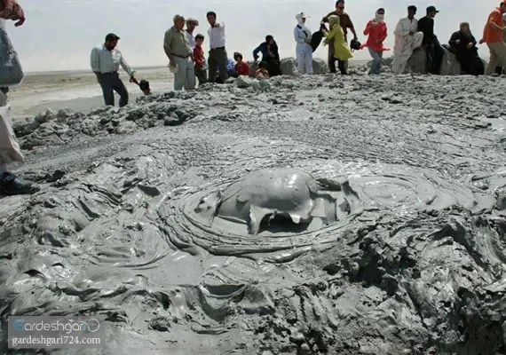 گل فشان پزم، محل درمان دردهای عضلانی و بیماری های پوستی