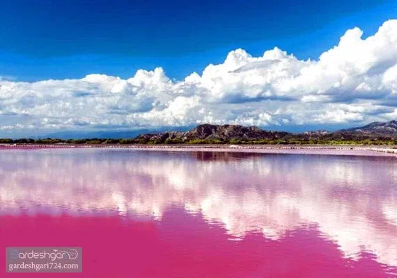 لیپار، دلربای صورتی ایران