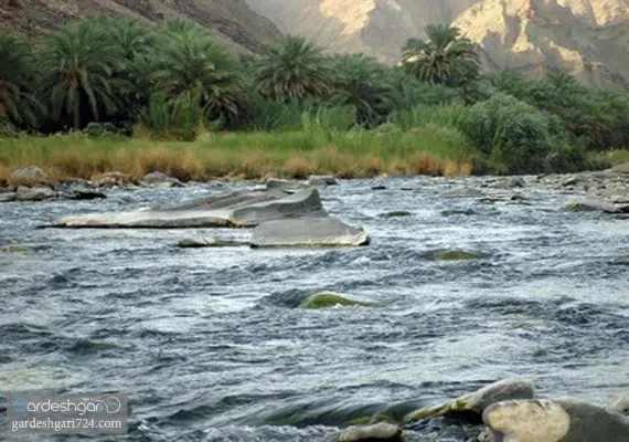 روستای تاریخی تیس