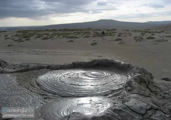 گل فشان پیرگل، گل هایی با خواص درمانی