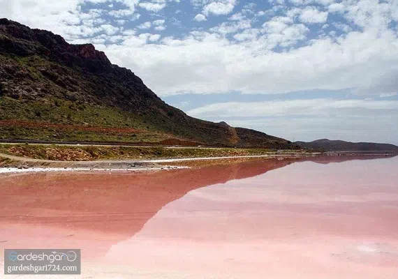 لیپار، دلربای صورتی ایران