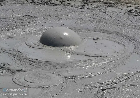 گل فشان پزم، محل درمان دردهای عضلانی و بیماری های پوستی