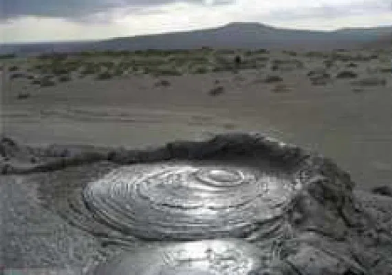 گل فشان پیرگل، گل هایی با خواص درمانی