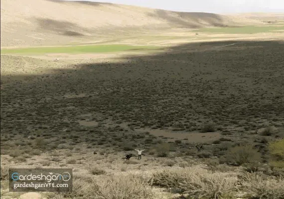 پارک ملی بمو