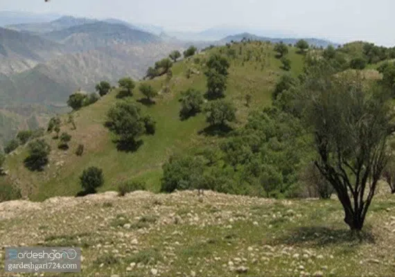 منطقه شکار ممنوع شو و لندر