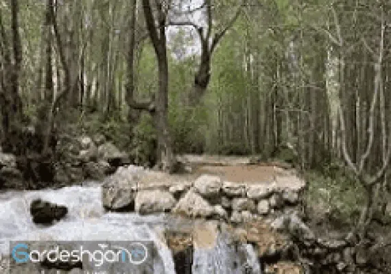 گردشگاه پیرغار کجاست؟