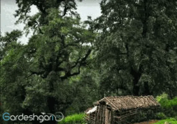 ماسال گیلان