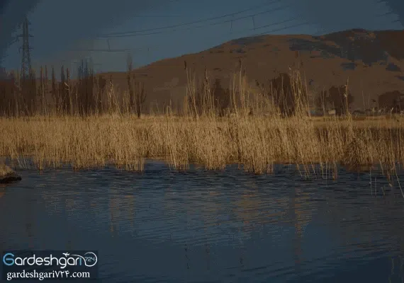 چشمه وقت و ساعت(جهان بین)