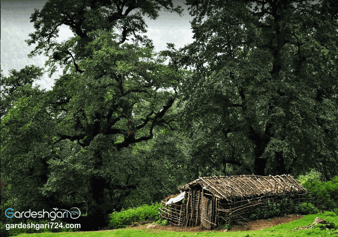 ماسال گیلان