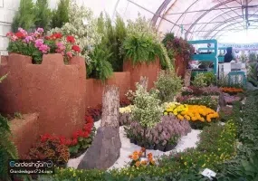 گلستان های محلات