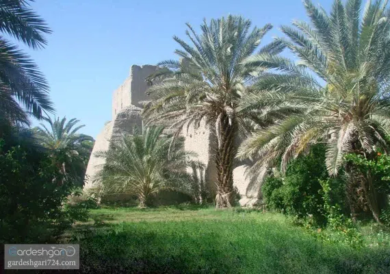 پالیزوک، آبشاری در دره ی سنگ نگاره های کهن