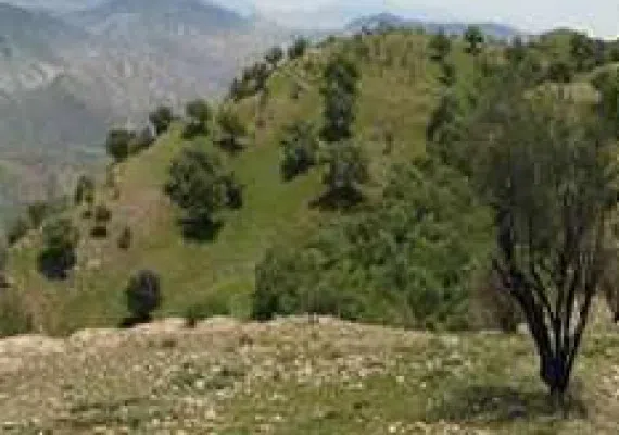 منطقه شکار ممنوع شو و لندر