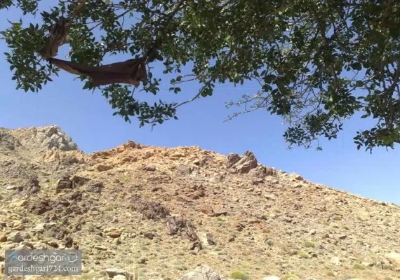 حیات وحش بیرک، زیستگاه پلنگ ایرانی