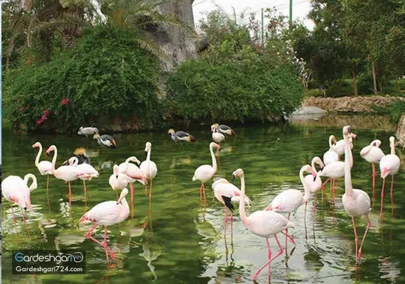 باغ پرندگان