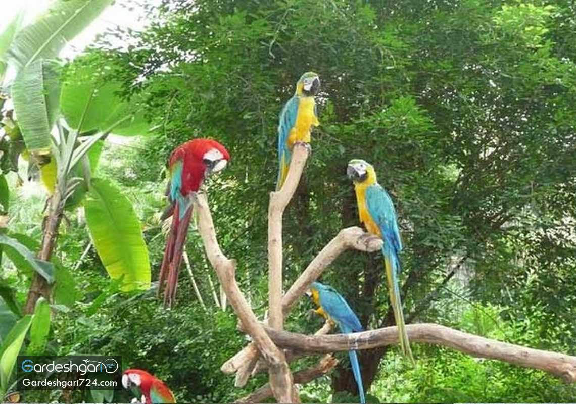 باغ پرندگان