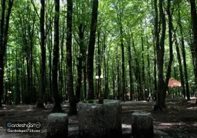 پارک جنگلی کردکوی، منطقه جنگلی پلنگ پا با آبشاری خزه ای