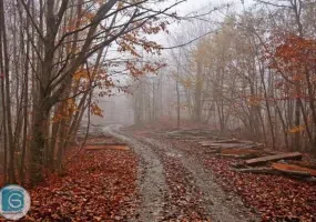 جاده اسالم به خلخال