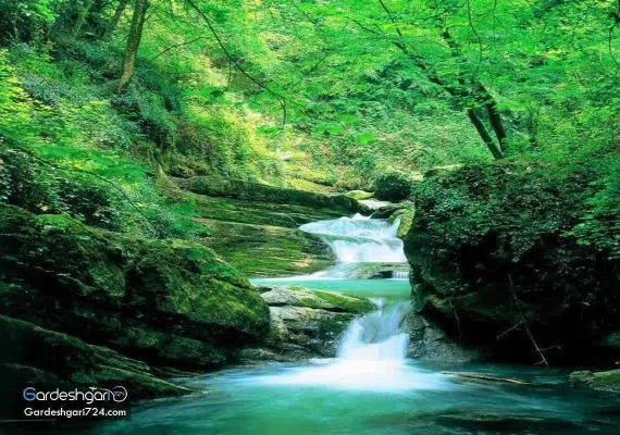 آبشار کبودوال، بزرگترین آبشار خزه ای جهان