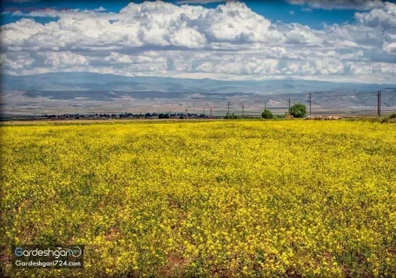 آبشار گورگور