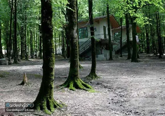 پارک جنگلی کردکوی، منطقه جنگلی پلنگ پا با آبشاری خزه ای