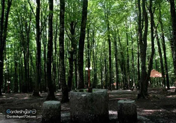 پارک جنگلی کردکوی، منطقه جنگلی پلنگ پا با آبشاری خزه ای