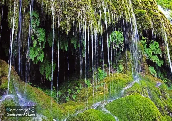 آبشار کبودوال، بزرگترین آبشار خزه ای جهان