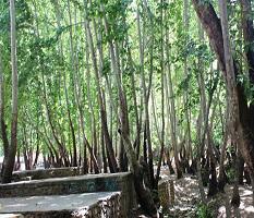 تنگه گنجه ای کجاست