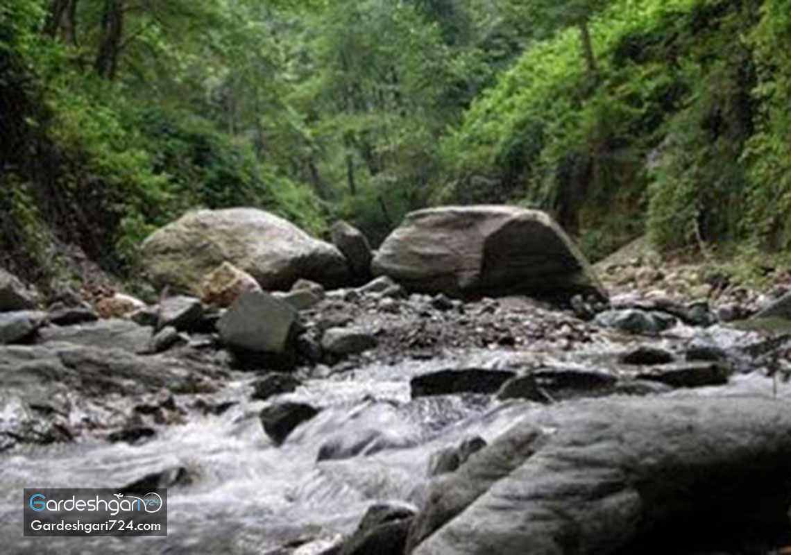 پارک جنگلی کردکوی، منطقه جنگلی پلنگ پا با آبشاری خزه ای