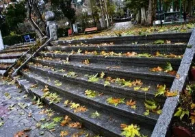 پارک سیفیه ملایر