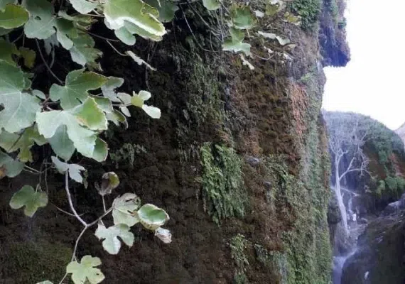 آسیاب خرابه