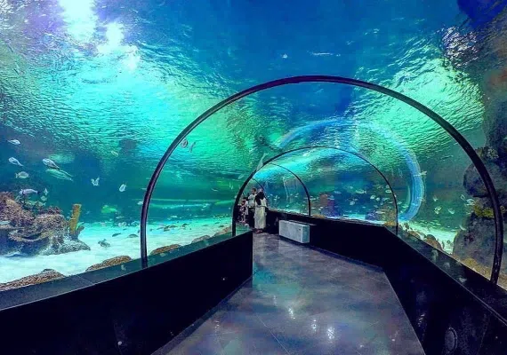 آکواریوم اصفهان