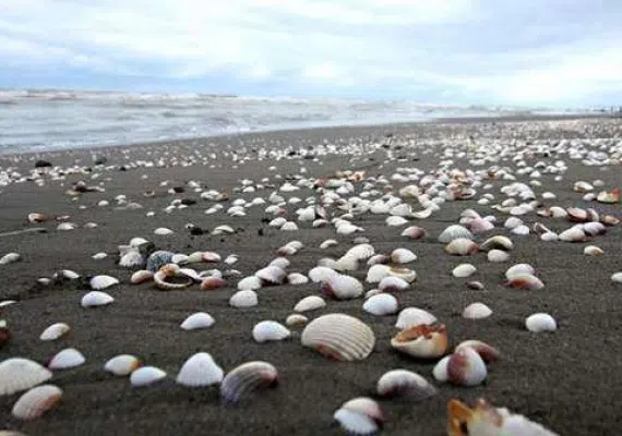 پلاژ ساحلی متل قو