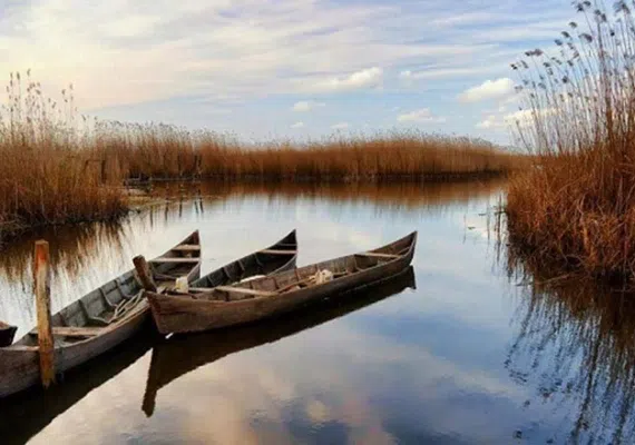 بندر کیاشهر