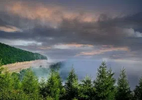 جنگل ابر شاهرود