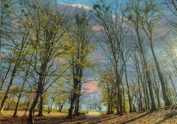 مرداب هسل کجاست؟