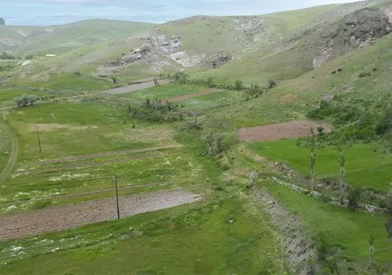 قره چمن شیراز