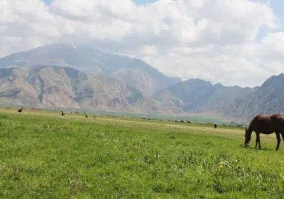 دشت ارژن شیراز