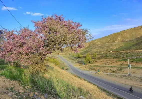 دشت ارژن شیراز