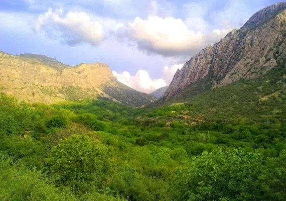 دشت ارژن شیراز