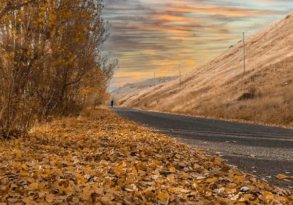 قره چمن شیراز