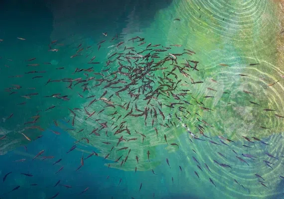 روستای ازمیغان طبس