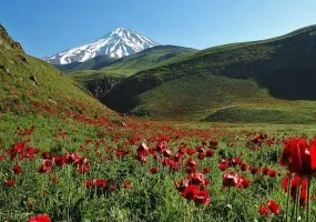 دشت لار